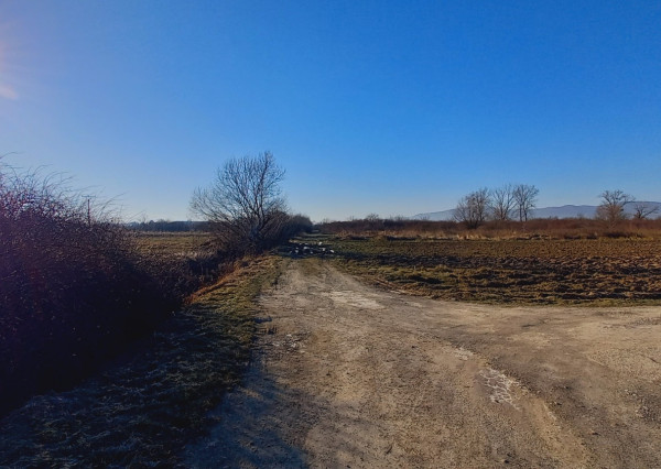 Pozemok na výstavbu RD v blízkosti Vranova n/T
